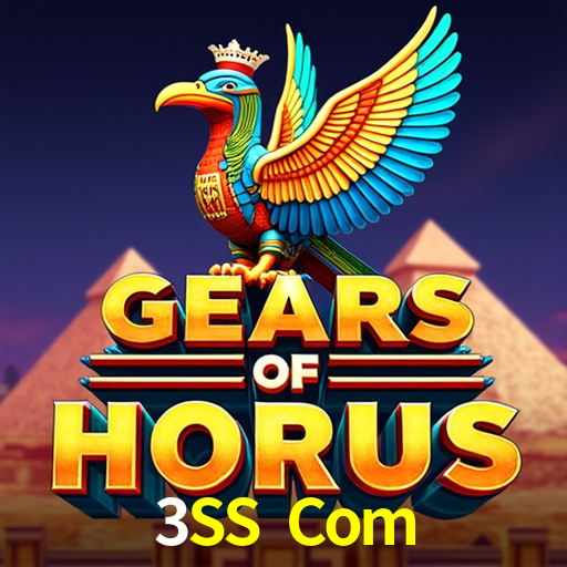 3SS Com